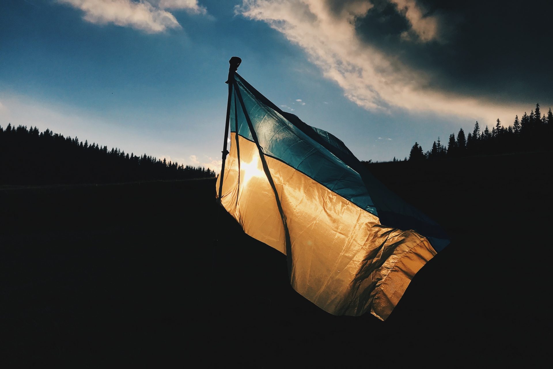 https://checkout.horasis.org/wp-content/uploads/2023/09/max-kukurudziak-qbc3Zmxw0G8-unsplash.jpg